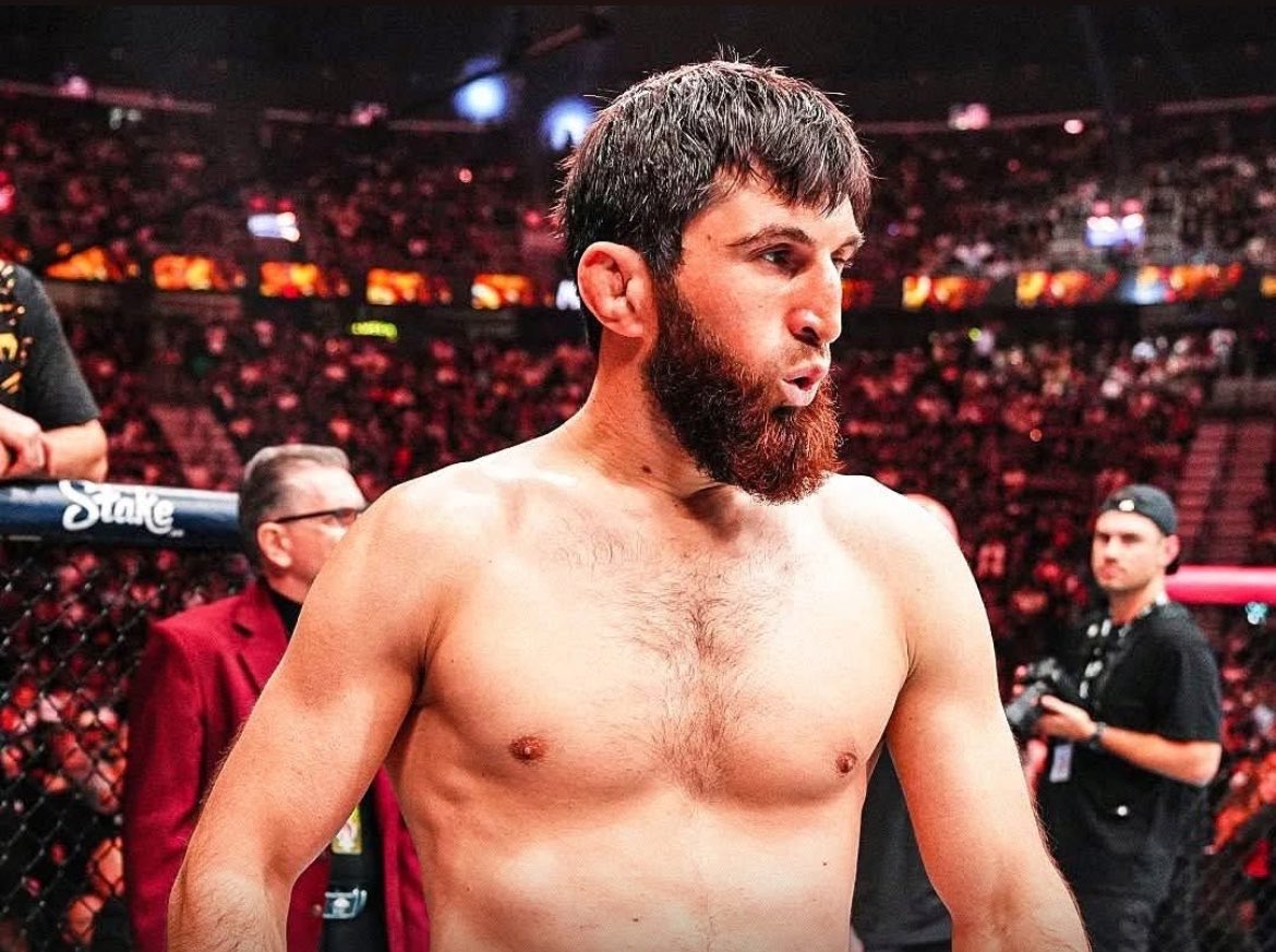 MMA 101 Türkiye tweet media