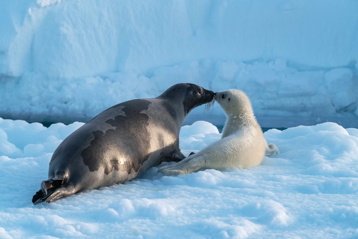 Science Museum tweet media