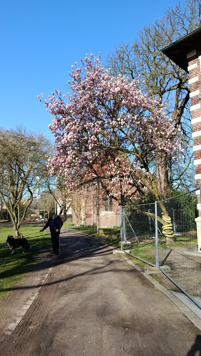 💓Rusty27102017 is back🐕‍🦺🫂💓 tweet media