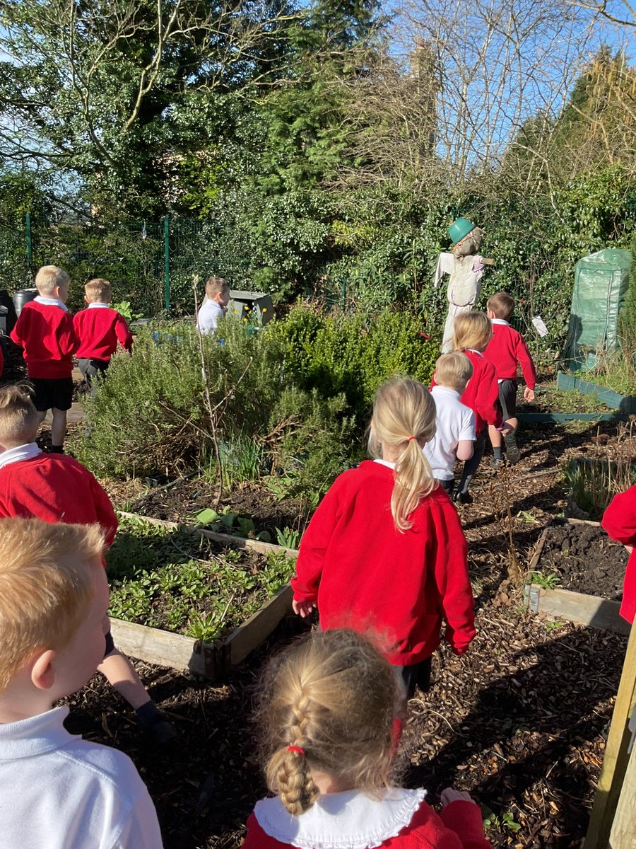 Simonstone StPeter's tweet media