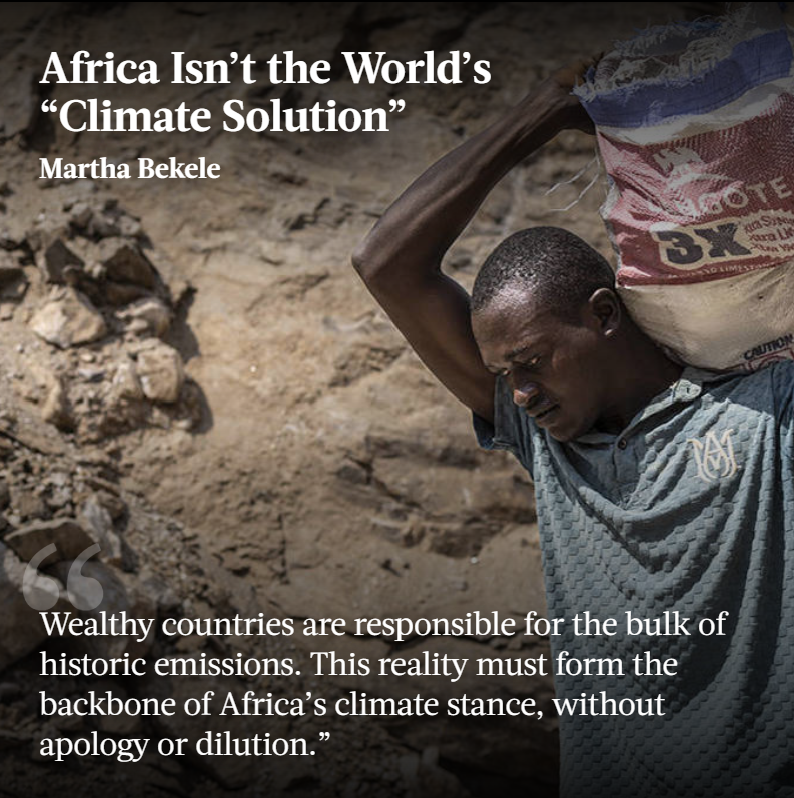 Project Syndicate tweet media