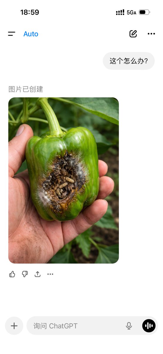 输入错了，真奇怪