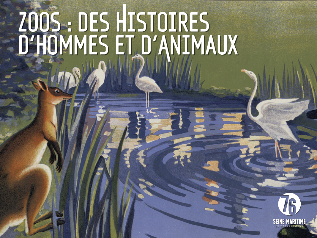 Depuis plus de 5 000 ans, les hommes entretiennent une relation particulière avec les animaux : des ménageries royales aux zoos modernes, ces lieux de savoir, de protection et de recherche. Venez découvrir l'expo "Zoo : des histoires d'Hommes et d'animaux" !

A partir du 21 mars
