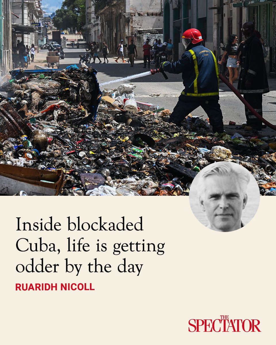 The Spectator tweet media