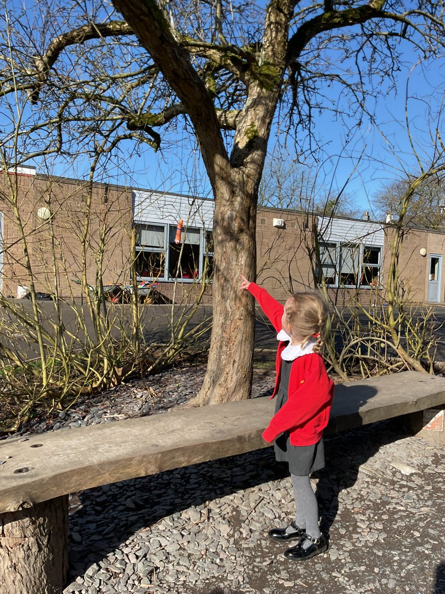 Simonstone StPeter's tweet media