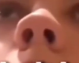 Kommie Watch tweet media
