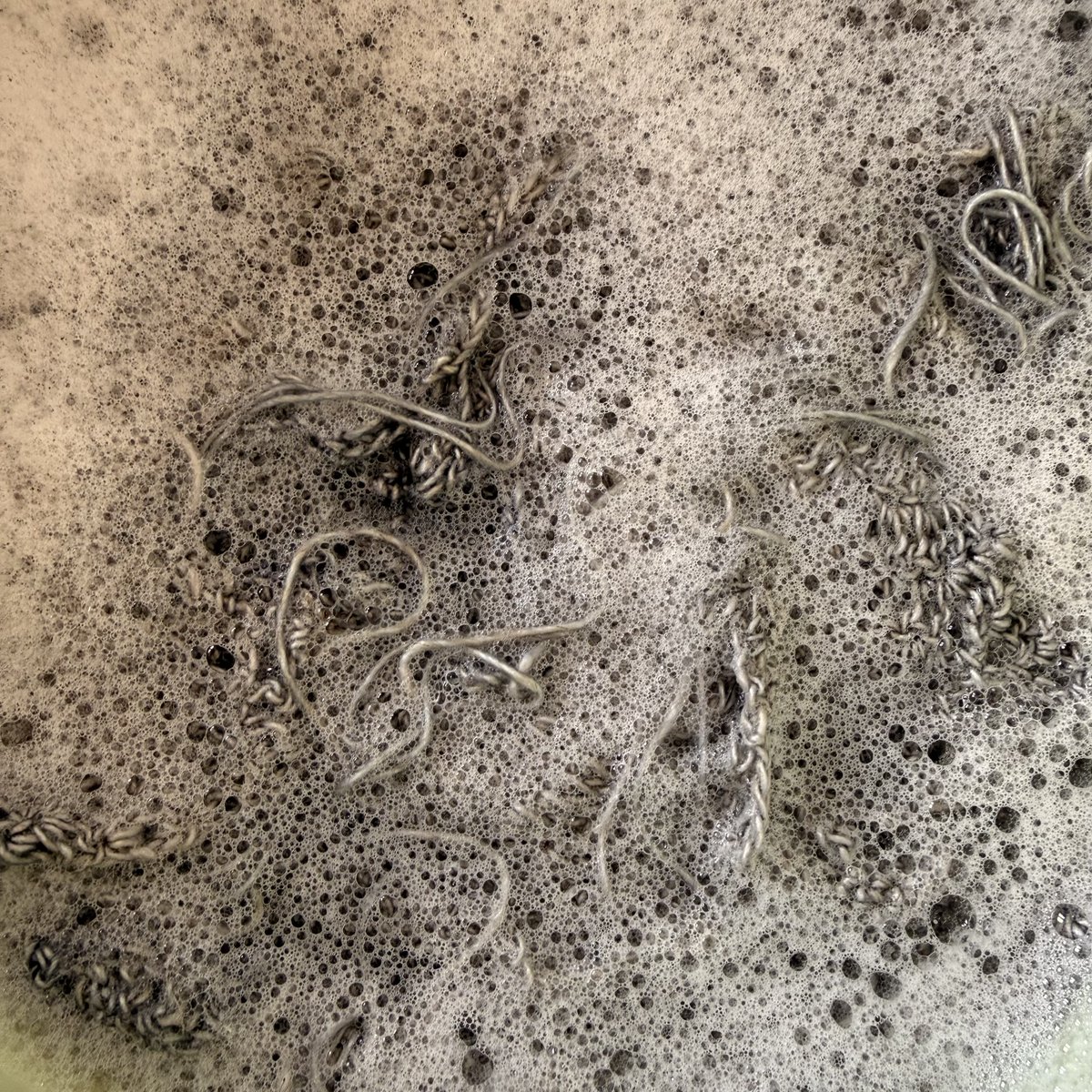 olga rusu 🍉🌻🚜 tweet media