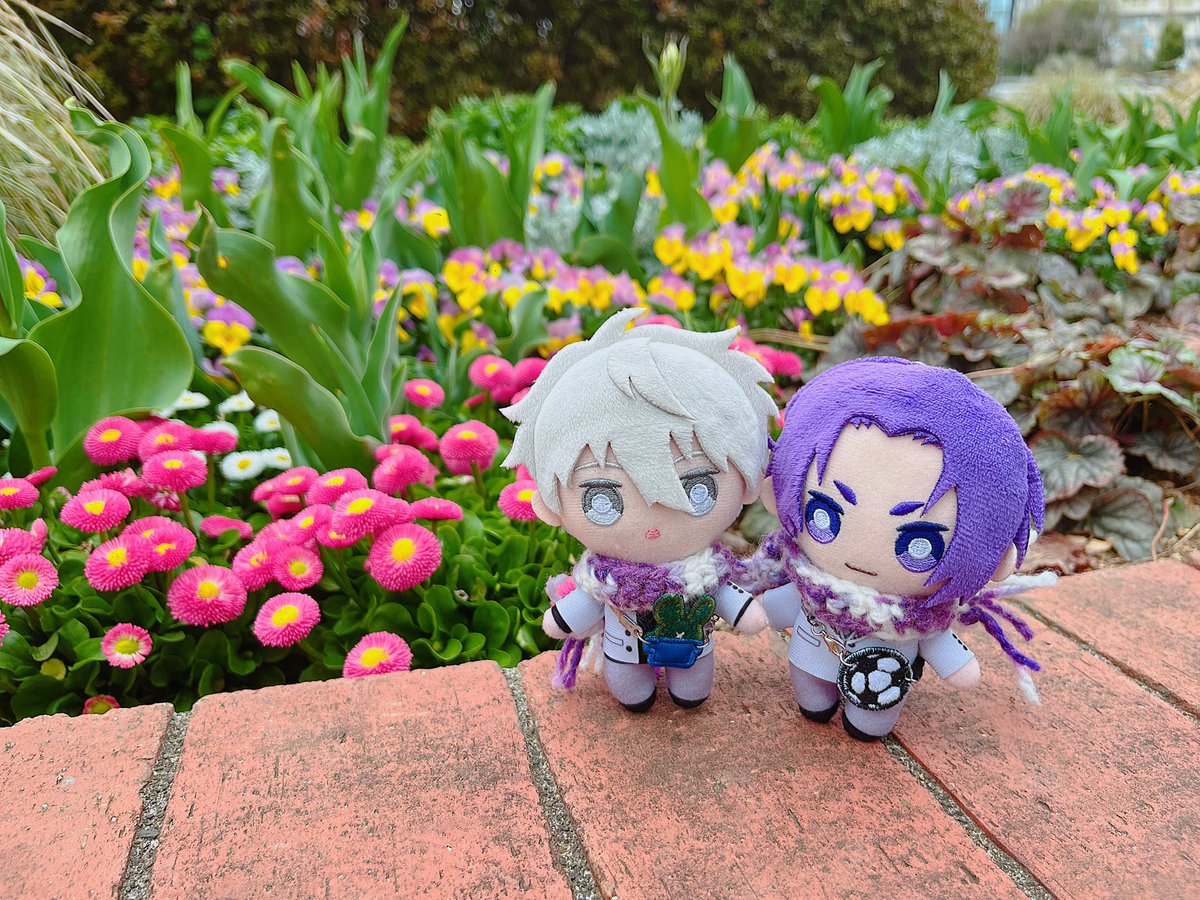 wawuu99's tweet photo. 🌸🌸🌸 https://t.co/YvOcy5U28i