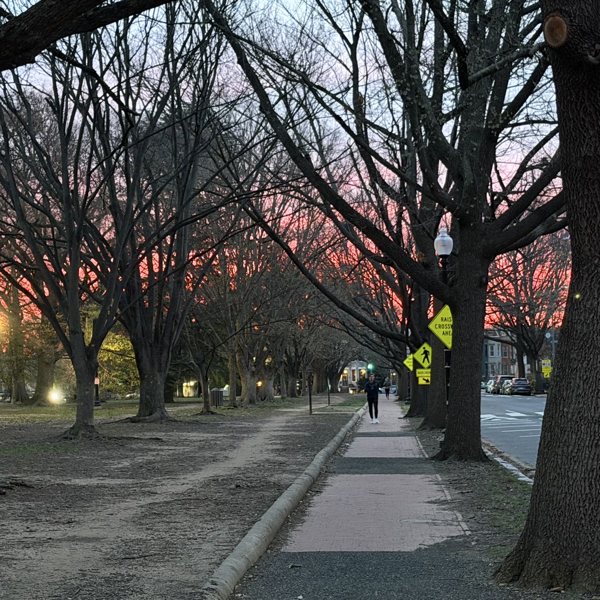 Harmeet K. Dhillon tweet media