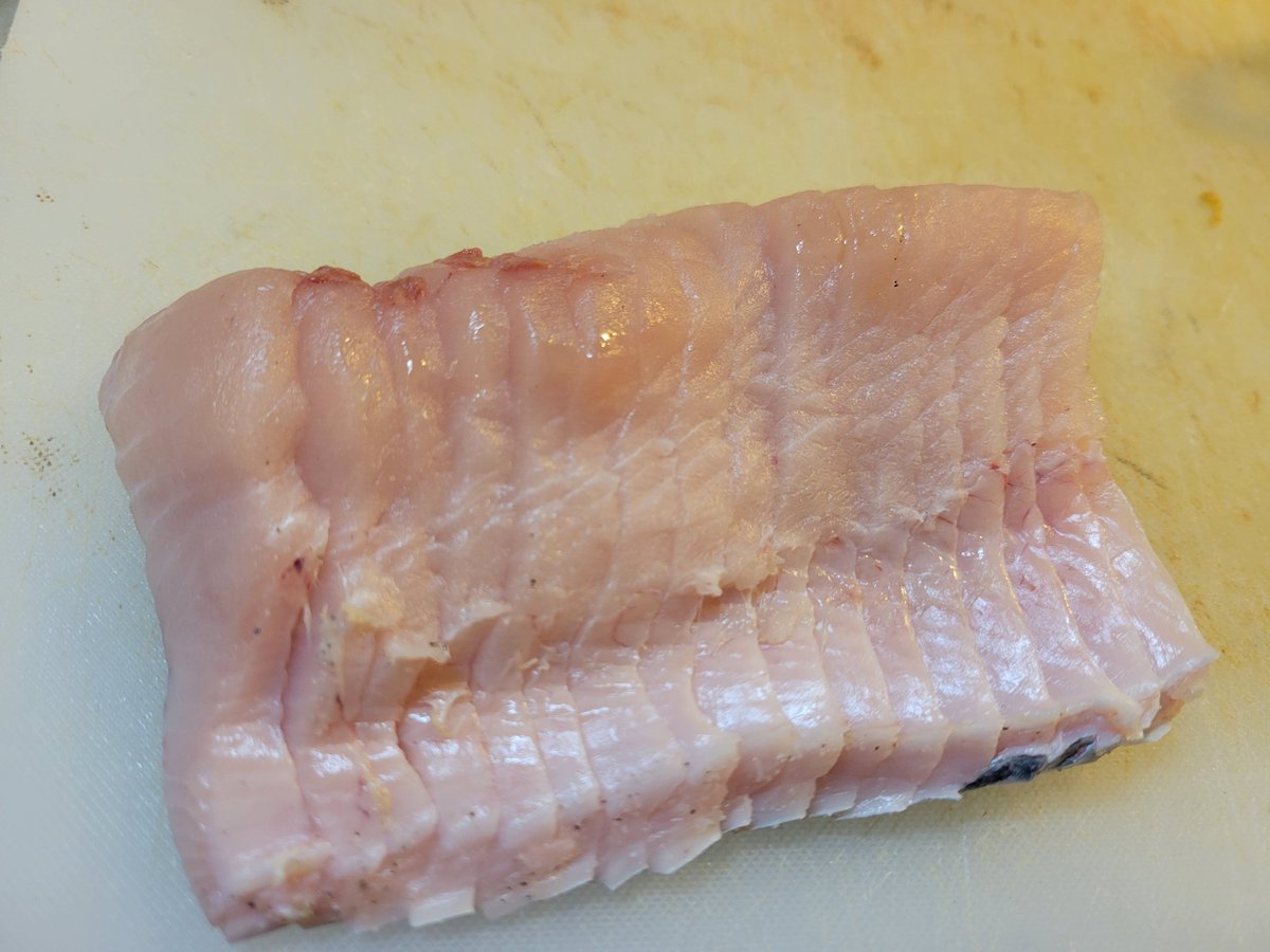 杉本　光 tweet media