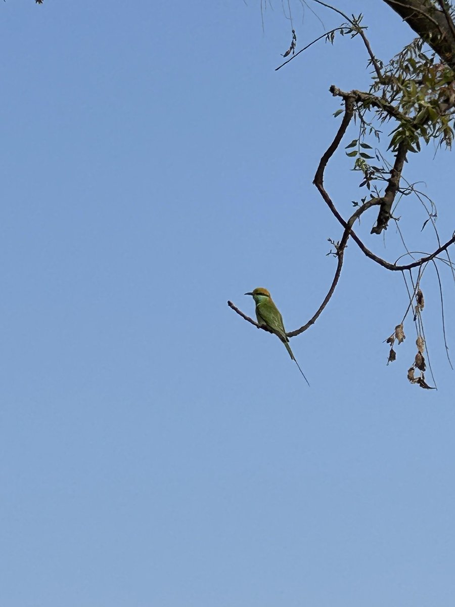 K Raghuram tweet media