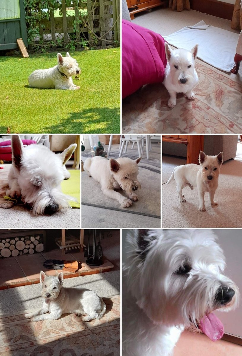 Tina's Cakes tweet media