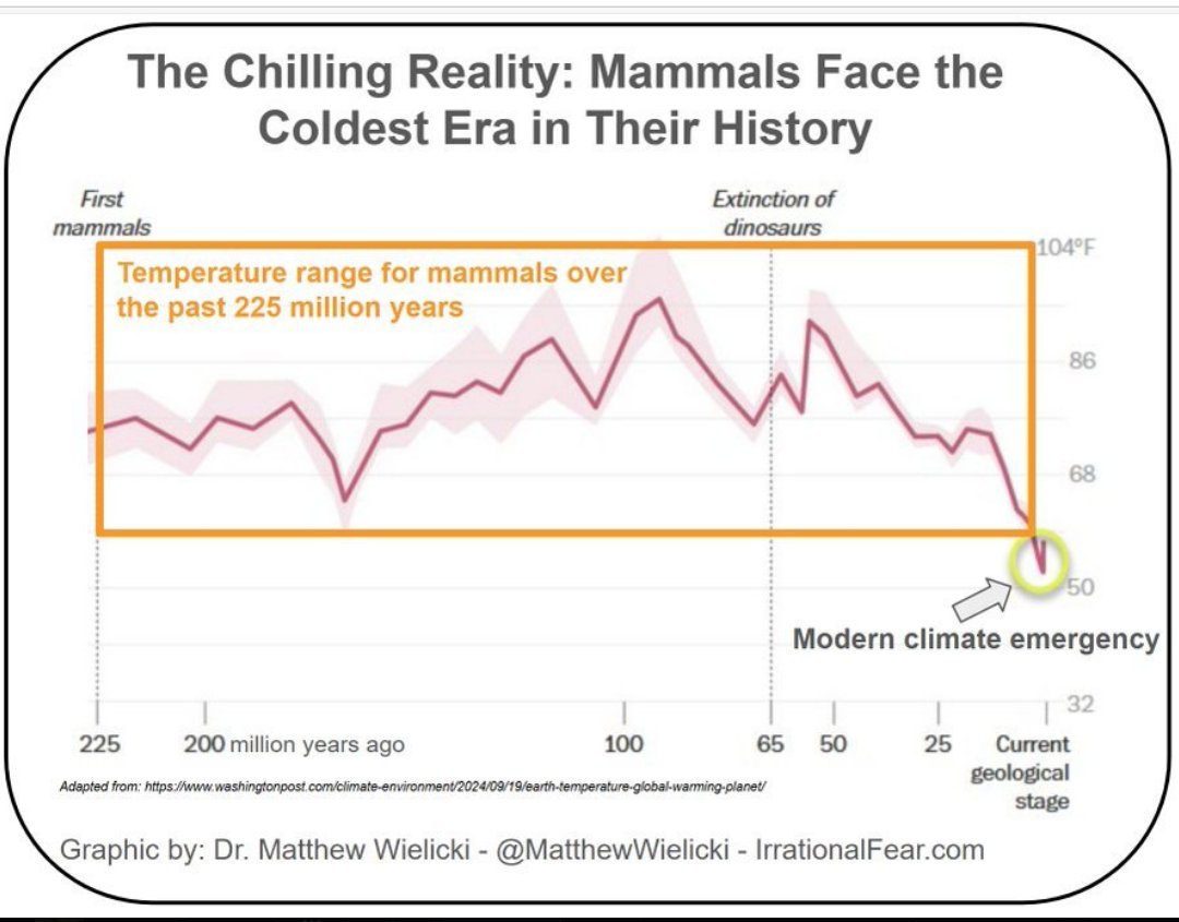 Golden Age Pureblood tweet media