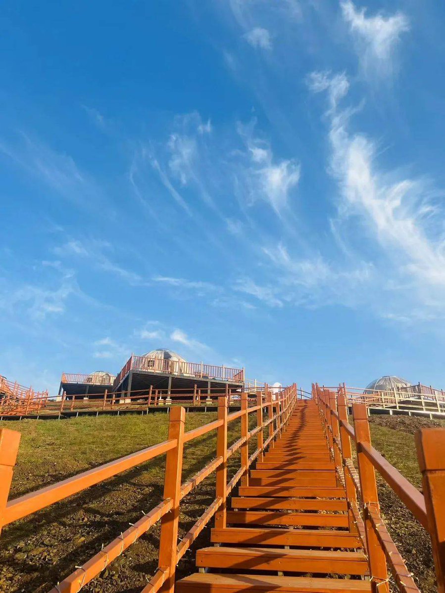 Kenzie Sherer tweet media