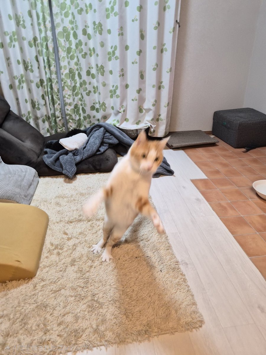 NicoRobi26's tweet photo. こちらも元気です🐈️
もうすぐ5歳 https://t.co/SmoBOikWZP