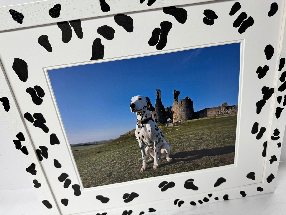 Matrix Frames tweet media