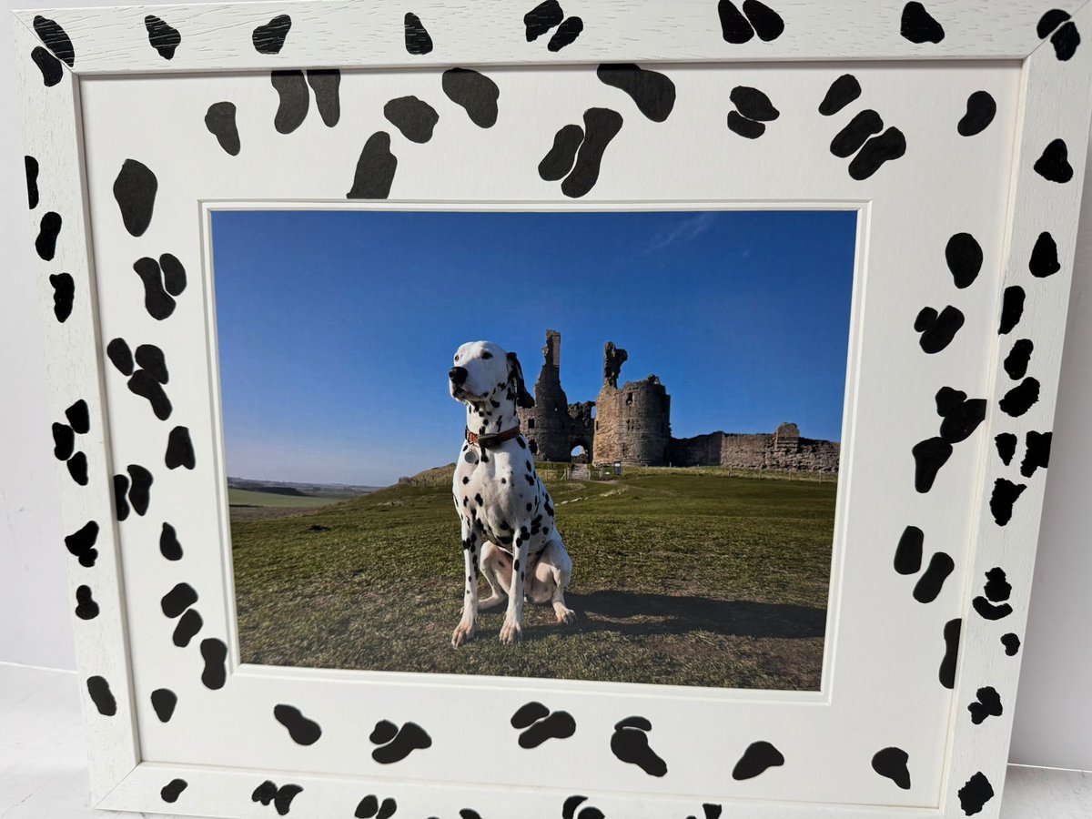 Matrix Frames tweet media