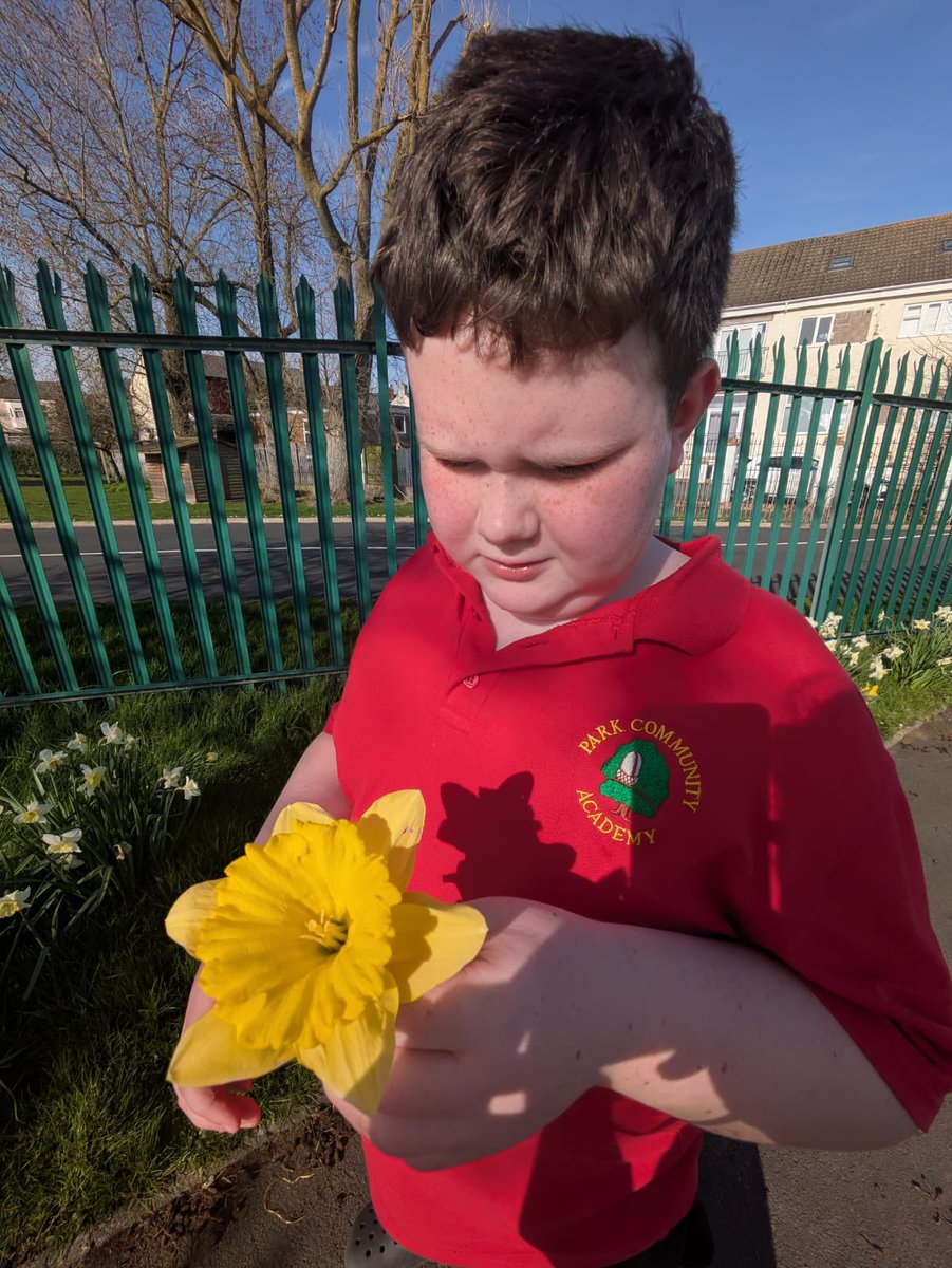 PCAprimarydept tweet media