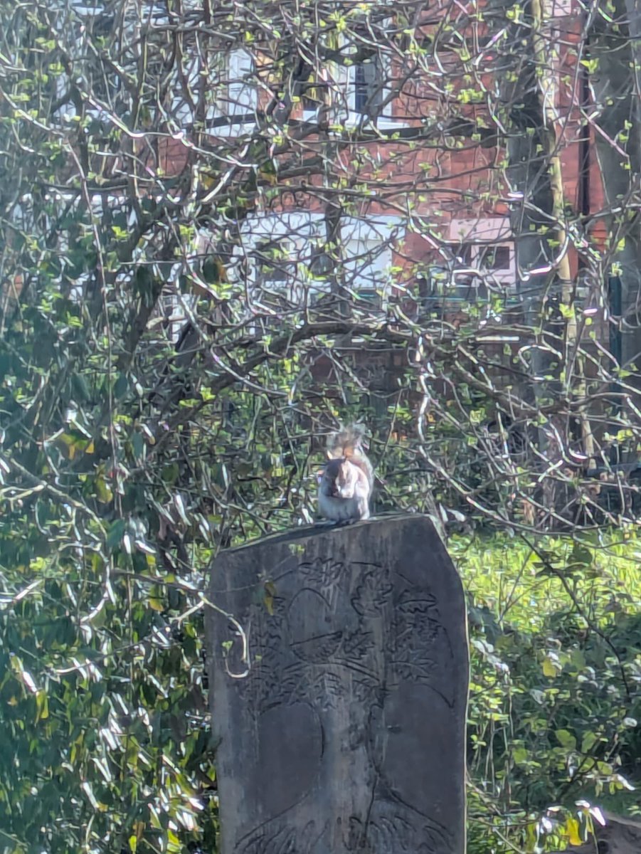 PCAprimarydept tweet media