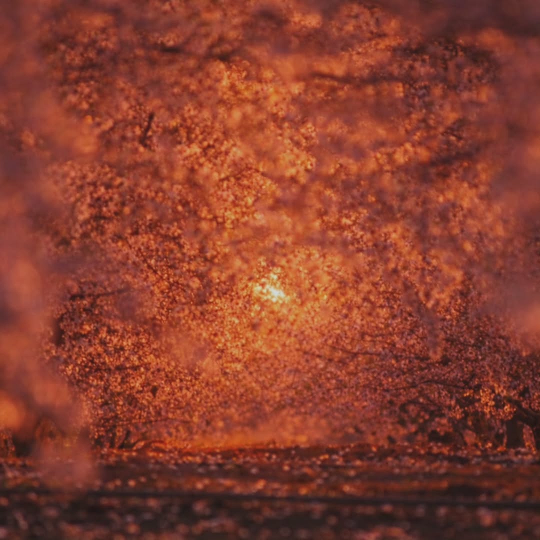 Segrià Turisme tweet media