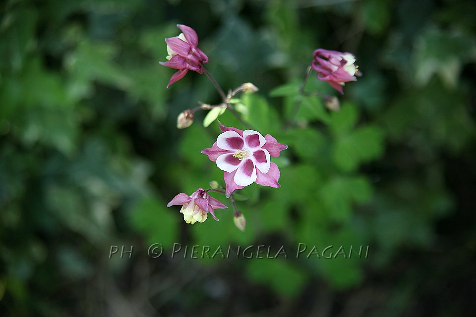 <a href="/Maria88365012/">Maria</a>