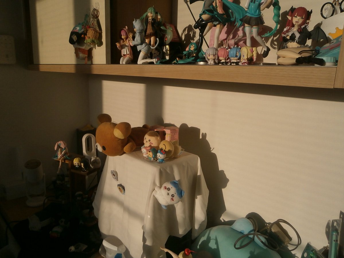 우린젊다 tweet media