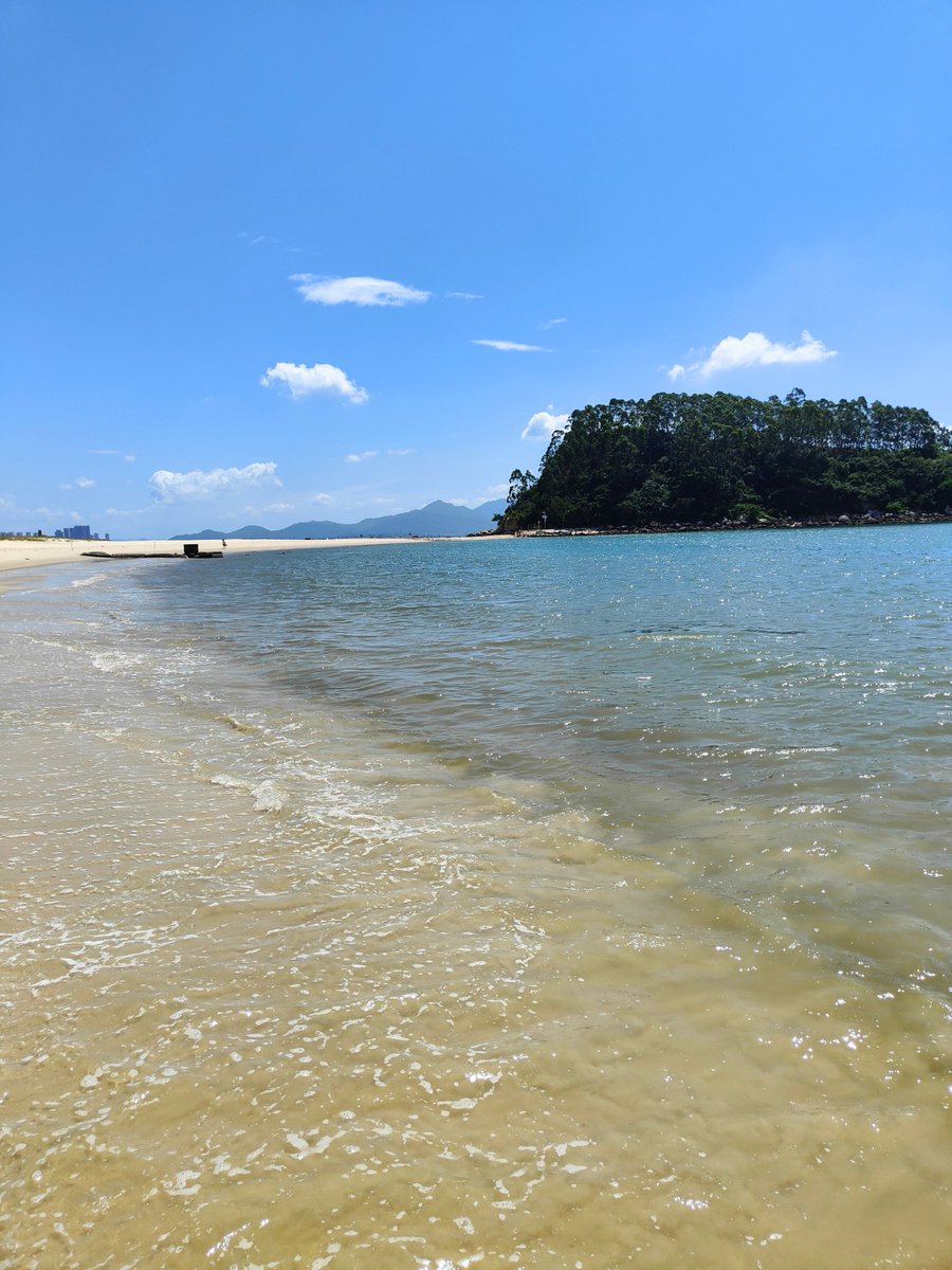 gary woods tweet media