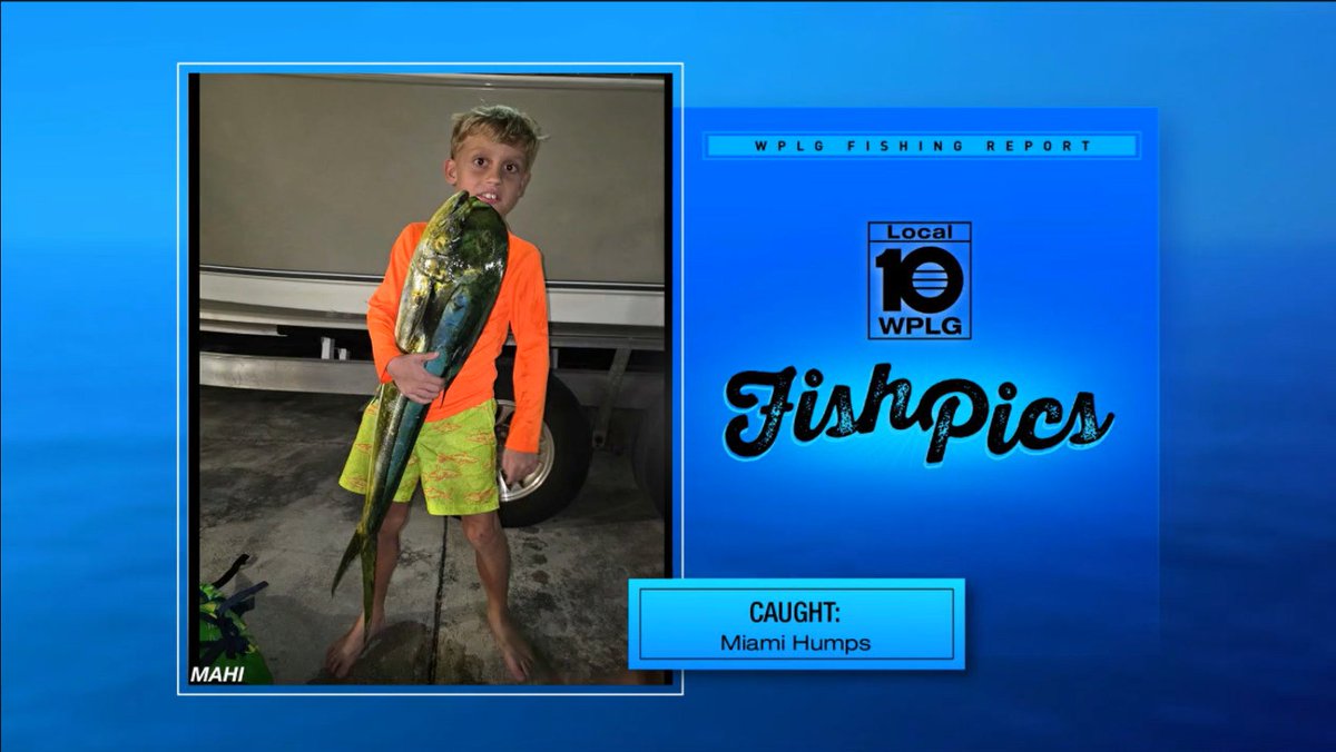 Branch Floridian tweet media