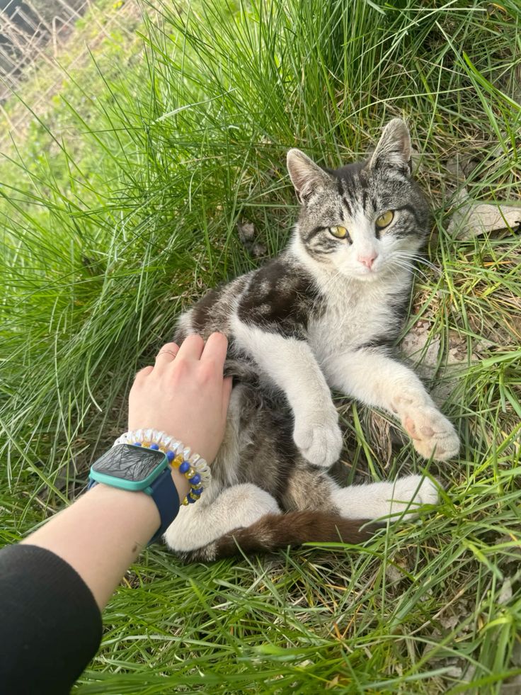 <a href="/Binance_intern/">Binance Intern</a> I survived