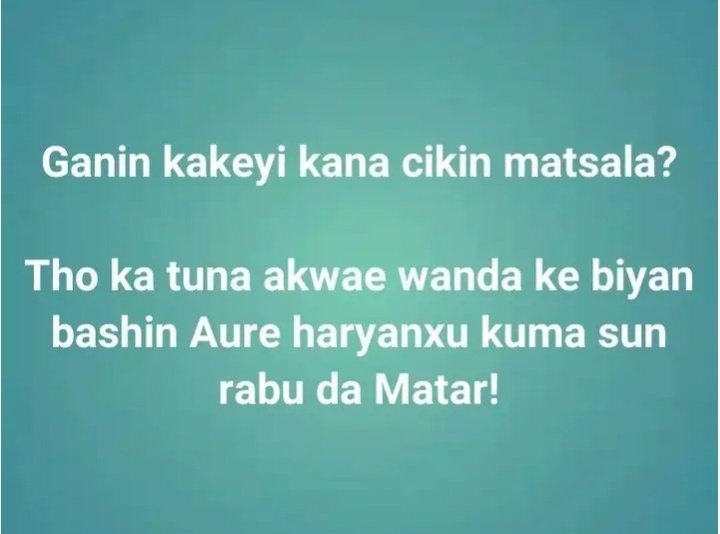 S H A M S U tweet media