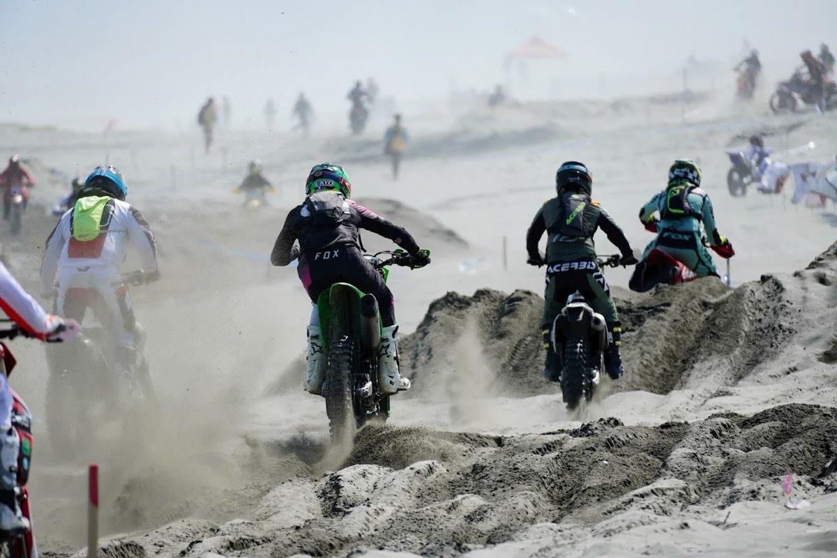 ピュアテック 皇帝ペンギン様 tweet media