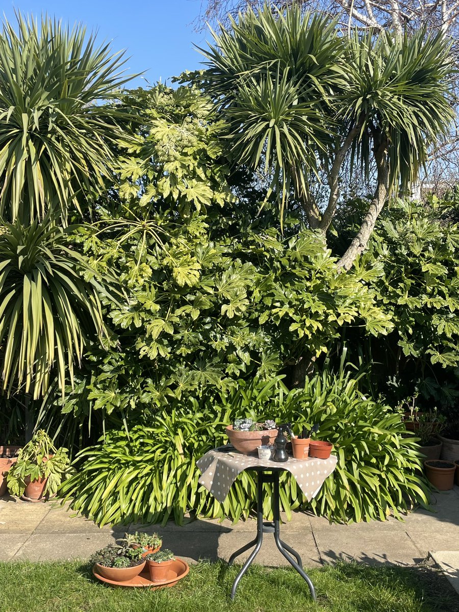 Clive Hart tweet media