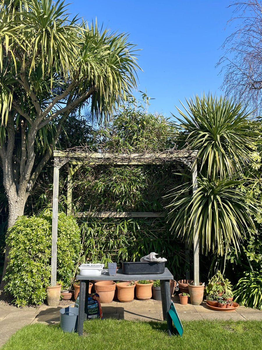 Clive Hart tweet media