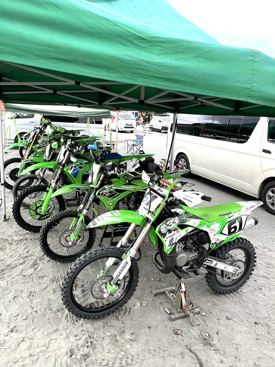 ピュアテック 皇帝ペンギン様 tweet media