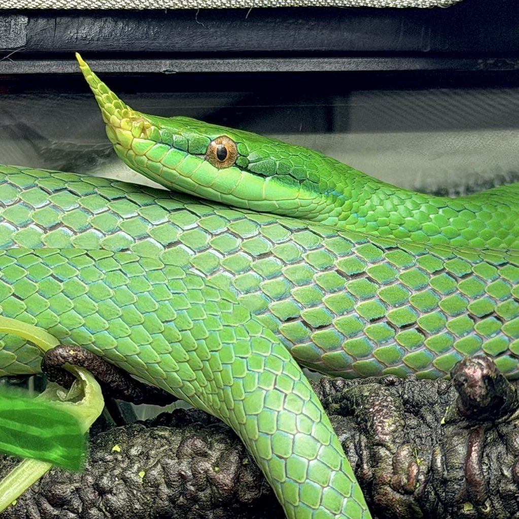 𝕃𝕖𝕠𓃠 tweet media