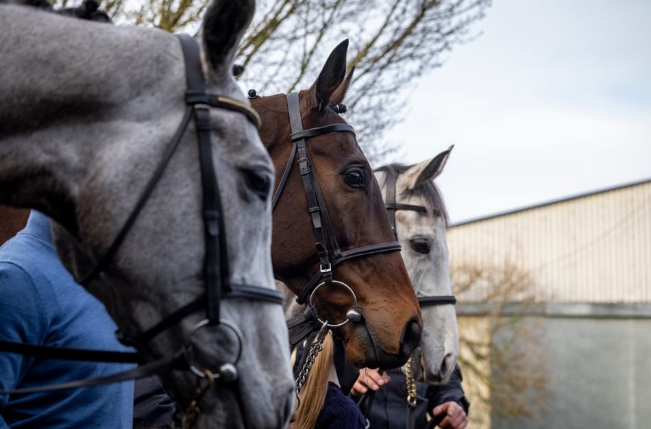 Racing Post tweet media