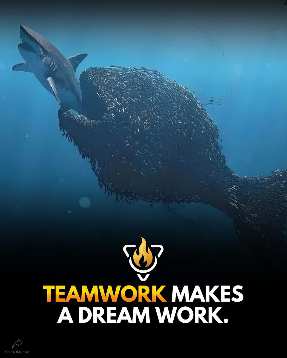 GJ54083693's tweet image. 🔥 Alone Is Slow Together Wins 🔥

#TheInnerCommand #Teamwork #BuildTogether #DreamWork #Virals #Motivation #Entrepreneur