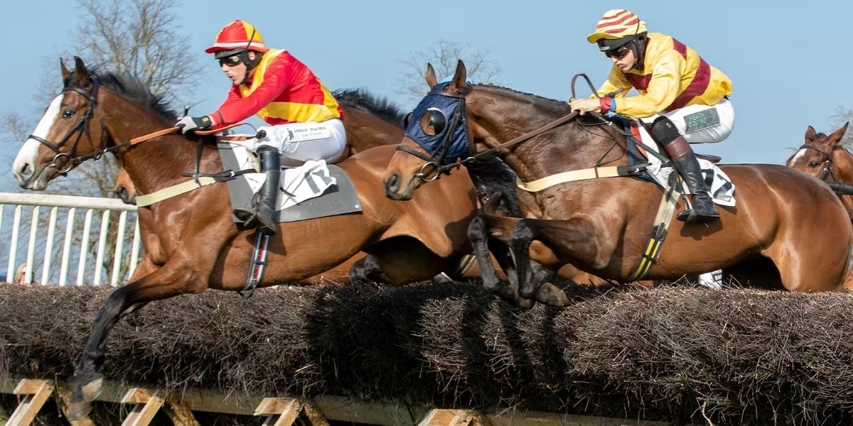 Hill Cross Furniture tweet media