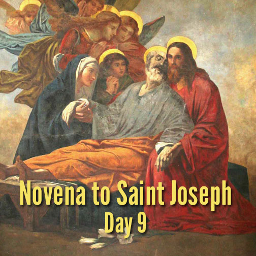 America Needs Fatima tweet media