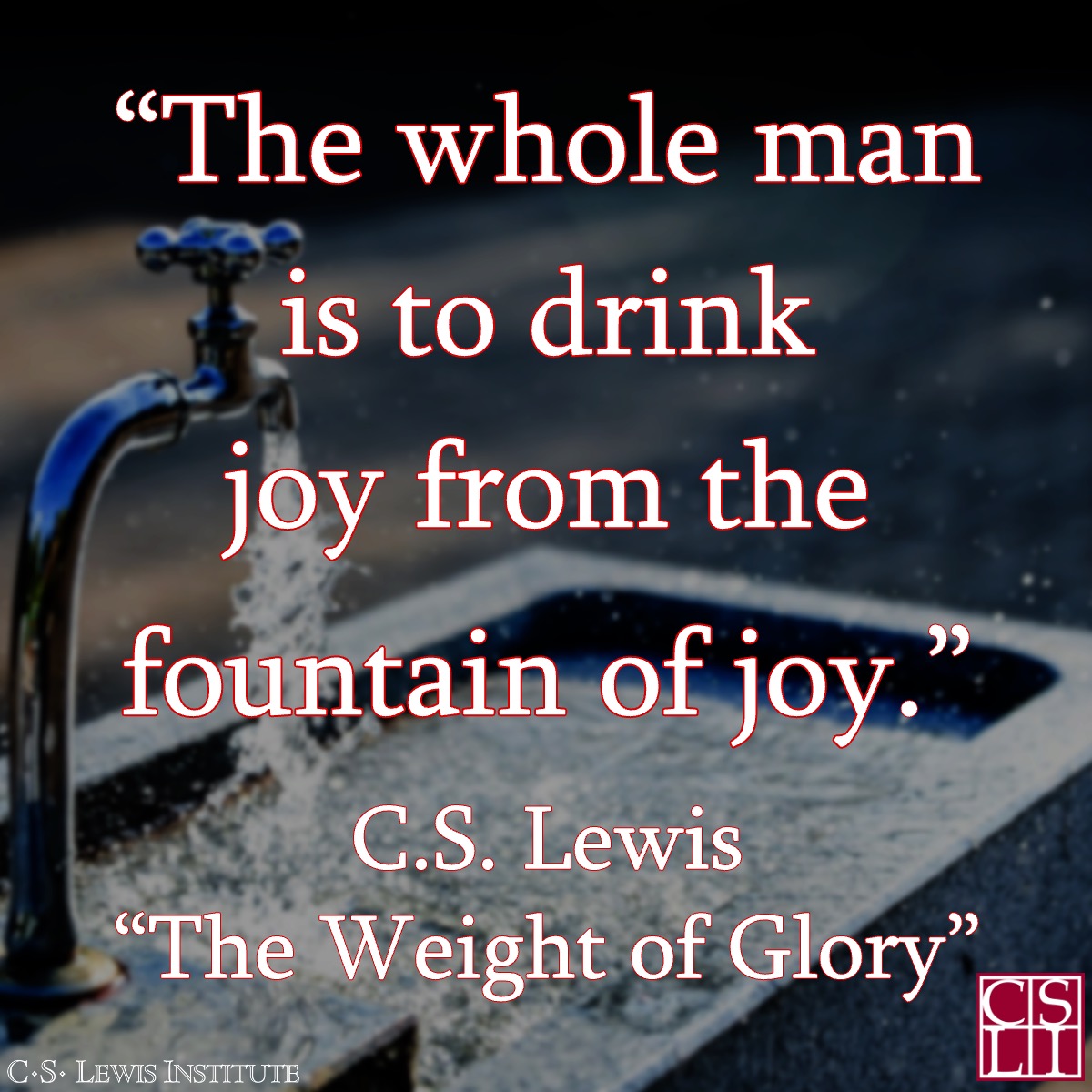 C.S. Lewis Institute tweet media