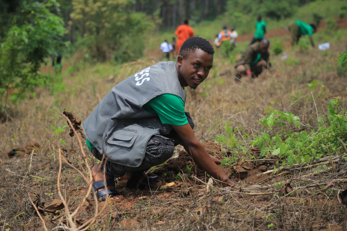 Original Mukonzo 🤴🏃 tweet media