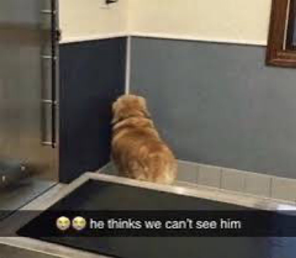 YIA Cam🦦 tweet media