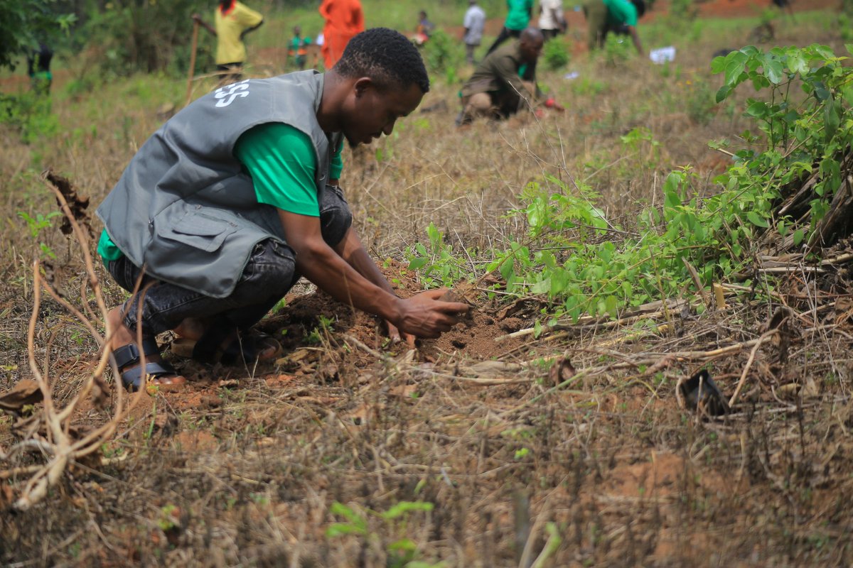 Original Mukonzo 🤴🏃 tweet media