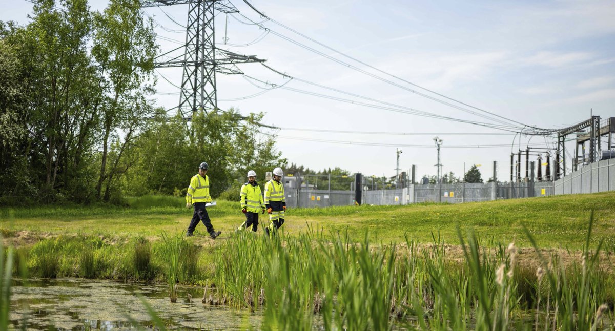 Northern Engineer tweet media