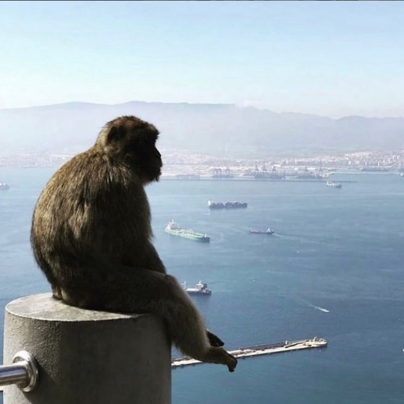 Mr. Wills⌚ tweet media