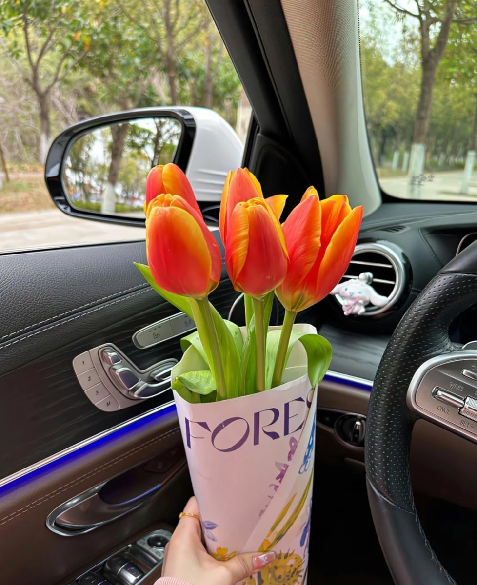 云深不知处 tweet media