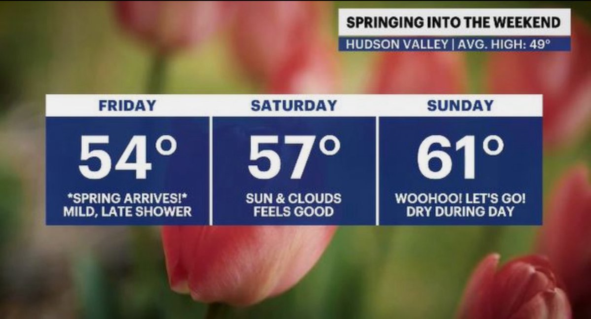 Addison Green tweet media