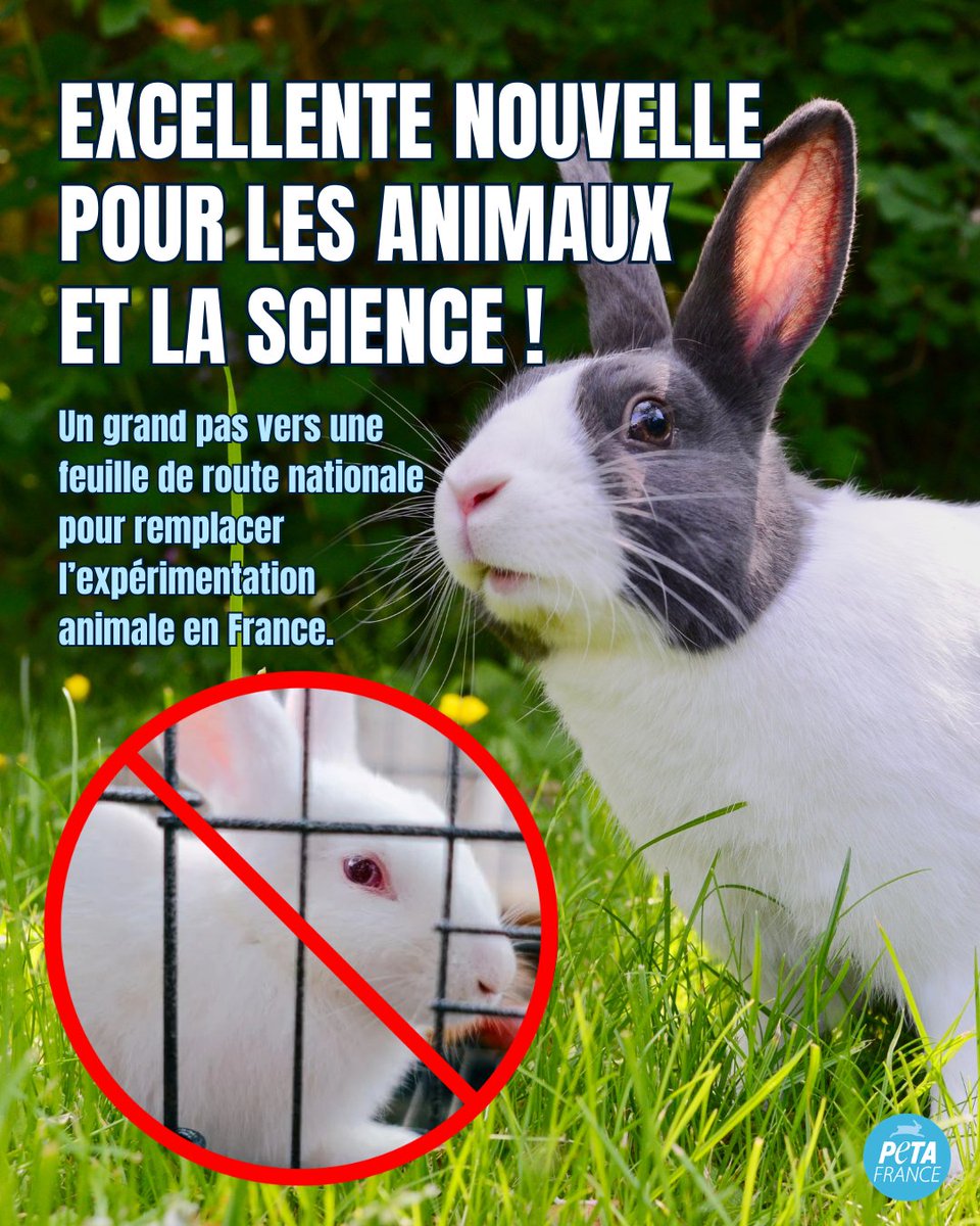 PETA France tweet media
