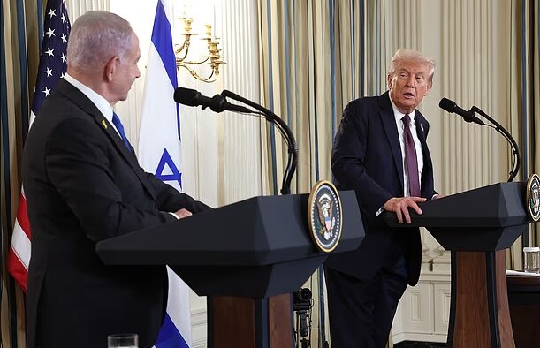 巍船愚夫 tweet media