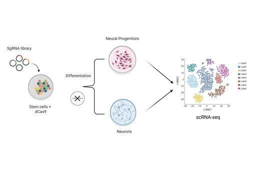 DMM Journal tweet media